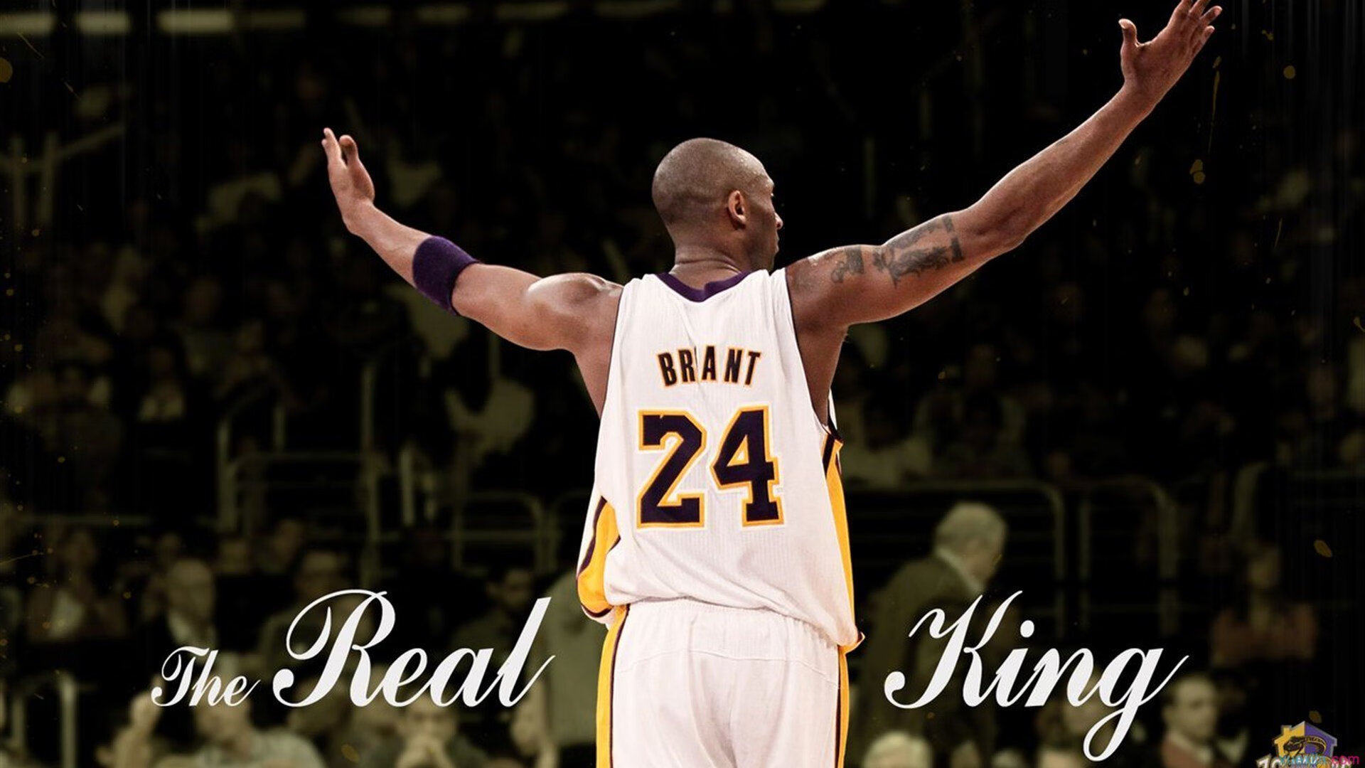 浓眉表示健康管理是赛季首要目标